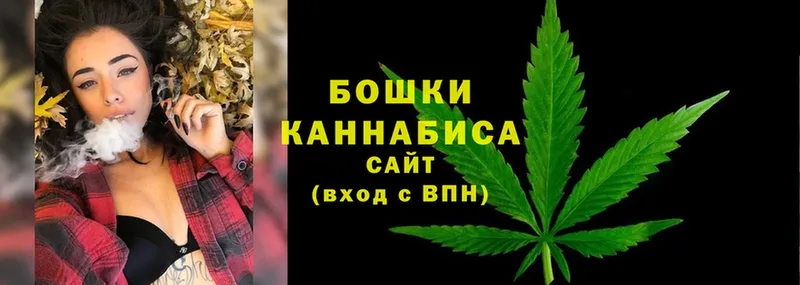 купить закладку  гидра ТОР  мориарти как зайти  Приволжск  Бошки Шишки White Widow 